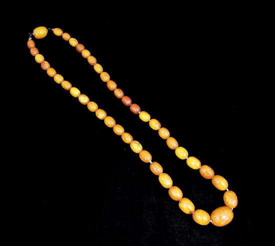 A single strand graduated oval amber bead necklace, 20.5in.
